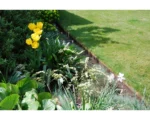 A garden bed with bright yellow tulips, white flowers, green plants, and neat grass in sunlight, bordered by CLASSIC flexible steel garden edging for a clean and defined look.