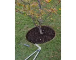 Garden Rings