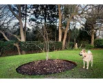 EverEdge Garden Rings – 1
