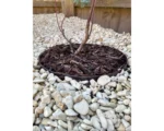 EverEdge Garden Rings – 1
