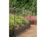 raised garden beds