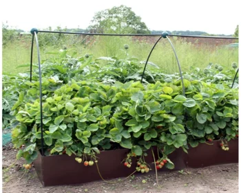 EverEdge EASYBED Raised Garden Beds - product view 2