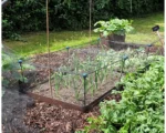 EverEdge EASYBED Raised Garden Beds – 1
