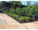 EverEdge PROEDGE Landscape Edging – 1