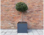 EverEdge Steel Planters – 1