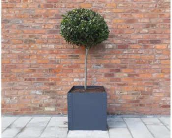 single garden planter