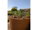 EverEdge Steel Planters – 1