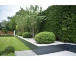 A British modern garden featuring neatly trimmed hedges, round shrubs, small trees, gravel beds bordered by RETAINING WALLS (DRAFT), all set beside a manicured green lawn.