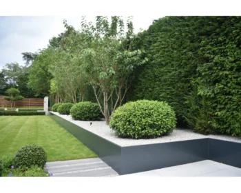 A British modern garden featuring neatly trimmed hedges, round shrubs, small trees, gravel beds bordered by RETAINING WALLS (DRAFT), all set beside a manicured green lawn.