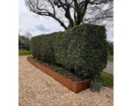 EverEdge Steel Retaining Walls – 1