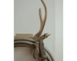 Enchanted Forest Hose Kit – 1